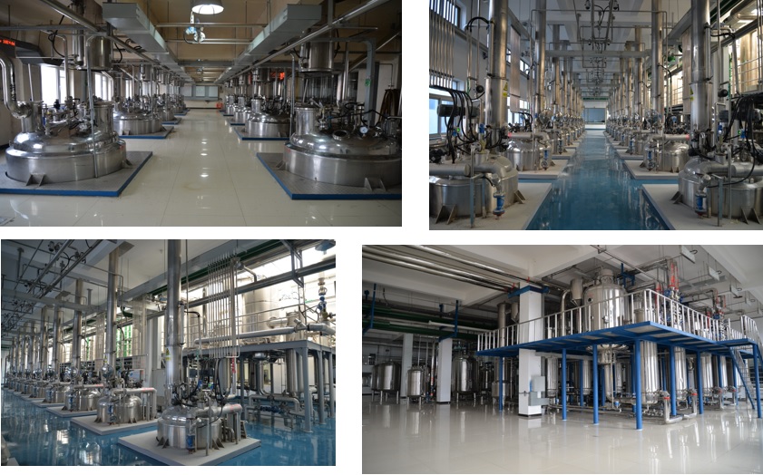 凯时尊龙人生就是博·Z6(中国)首页官网