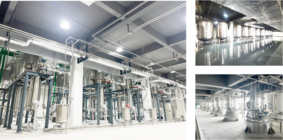 凯时尊龙人生就是博·Z6(中国)首页官网