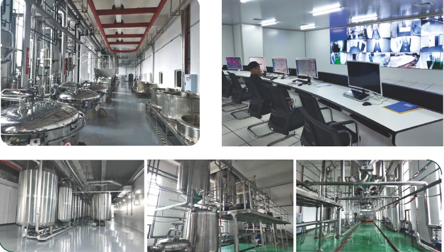 凯时尊龙人生就是博·Z6(中国)首页官网